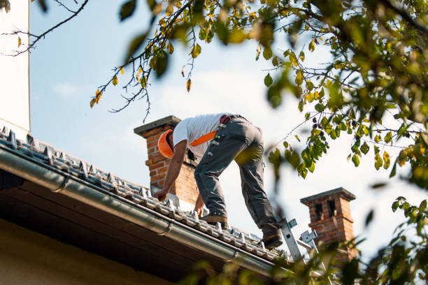Best Flat Roof Repair Services  in Sisco Heights, WA