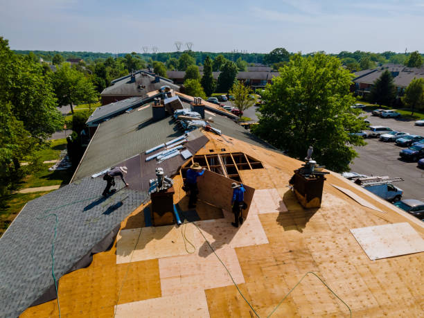 Roof Gutter Cleaning in Sisco Heights, WA