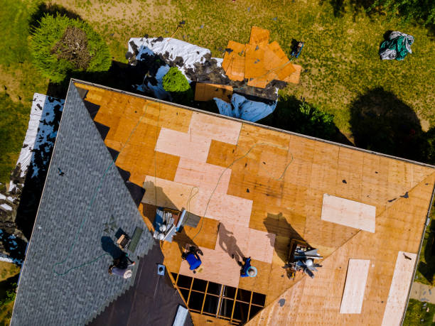 Best Roof Restoration Services  in Sisco Heights, WA