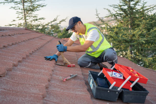 Best Roof Maintenance Services  in Sisco Heights, WA