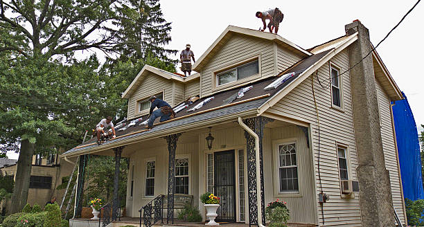 Best Gutter Installation and Roofing  in Sisco Heights, WA